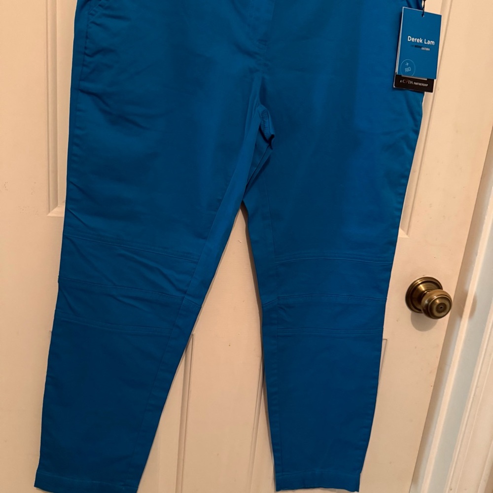 Derek Lam NWT Size 8 Turquoise Pants with Sleek Knee Motorcycle Seaming - Picture 2 of 7